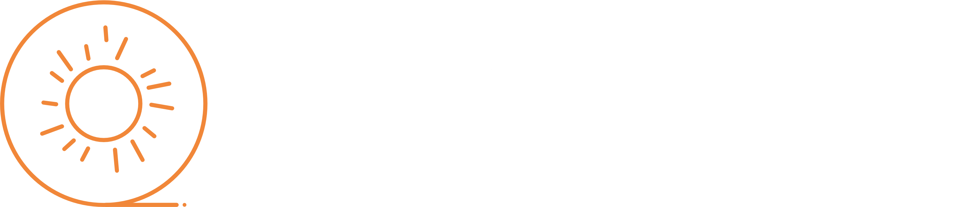raybeam-softech-dark-logo